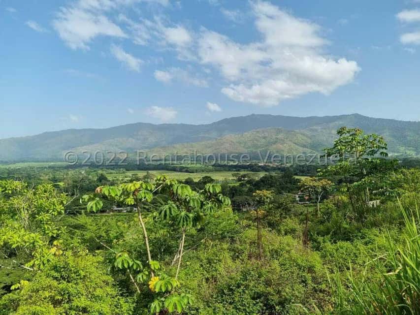View 8