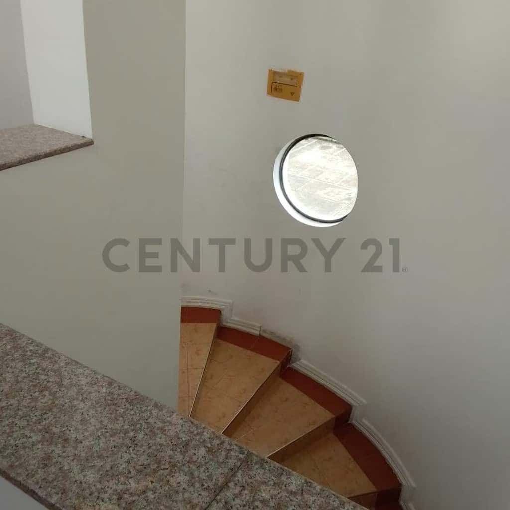Vista 11