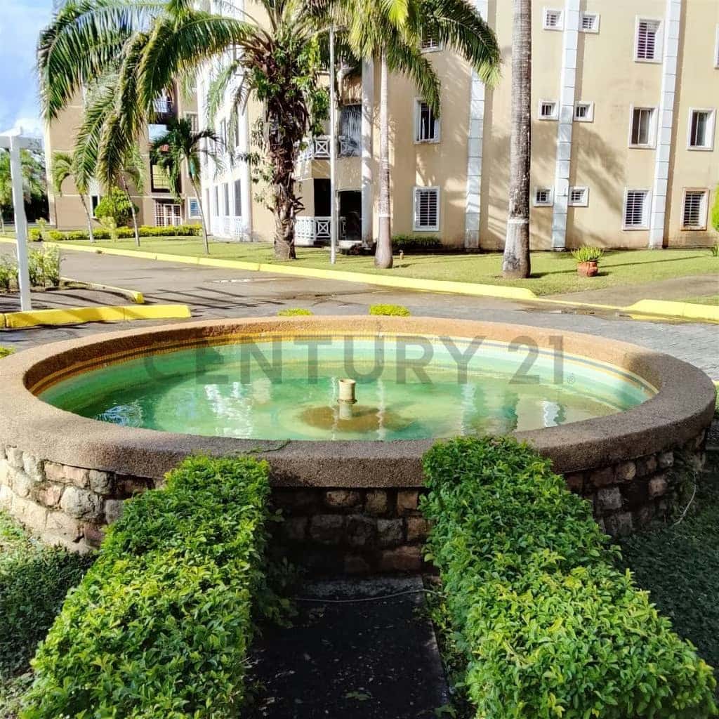 Vista 14