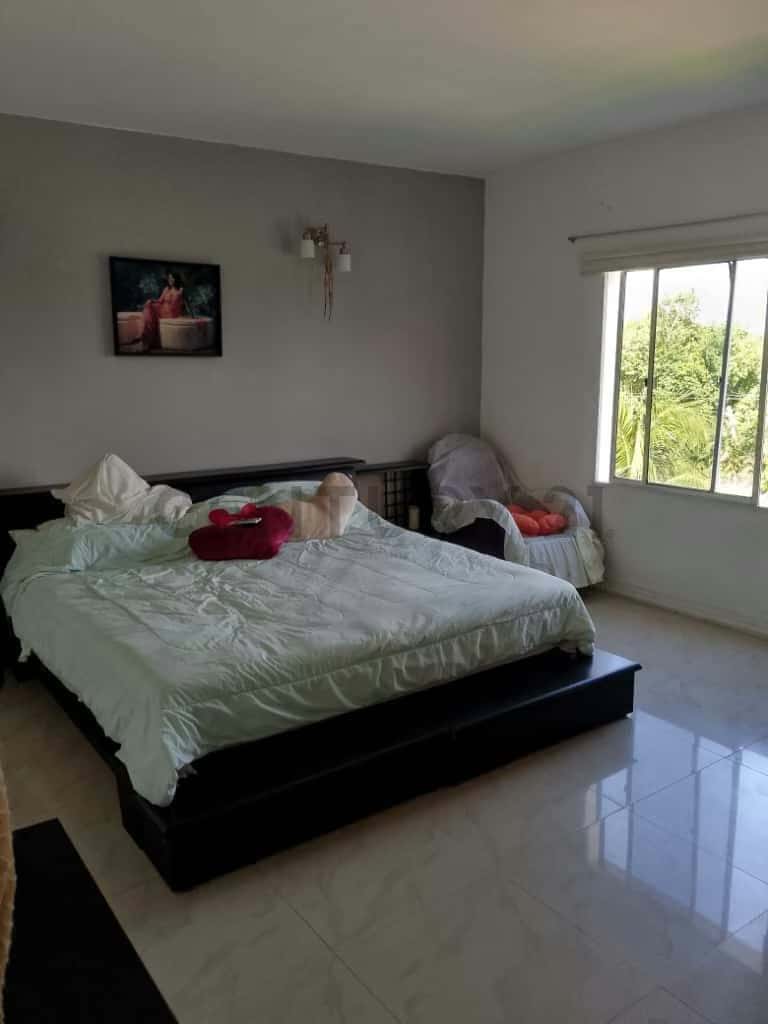 Vista 4