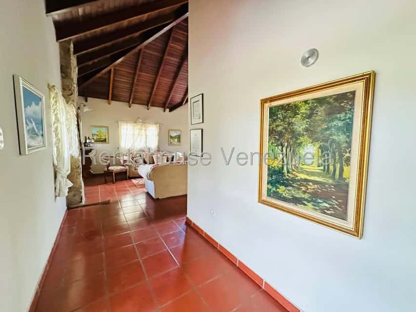 Vista 3
