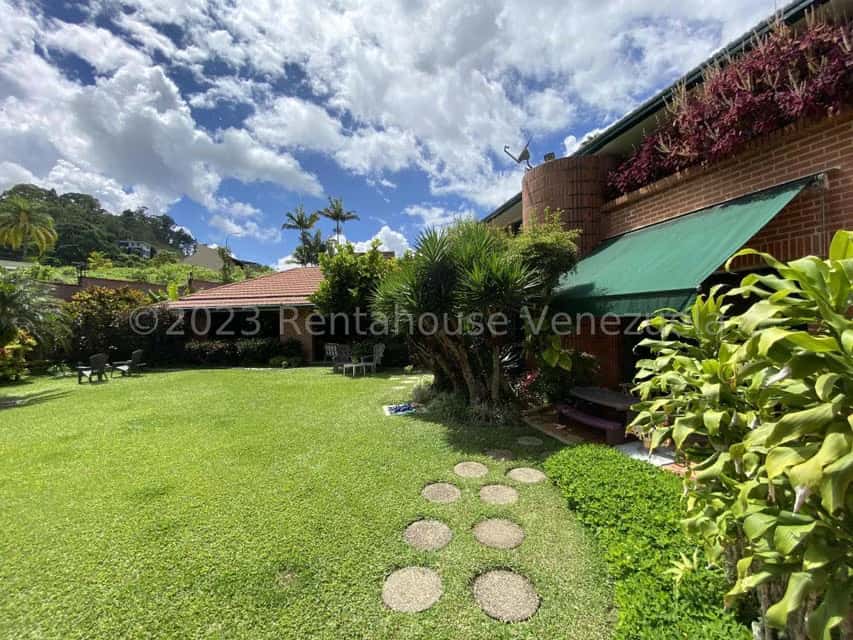 Vista 37