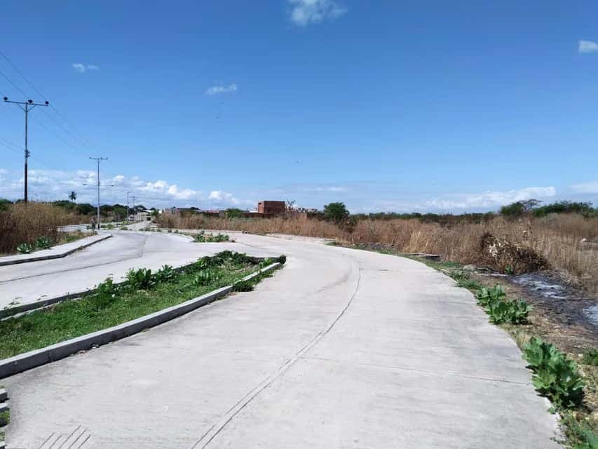 Vista 4