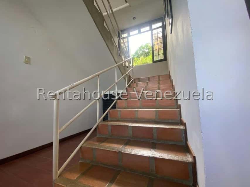 Vista 19