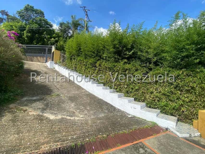 Vista 4
