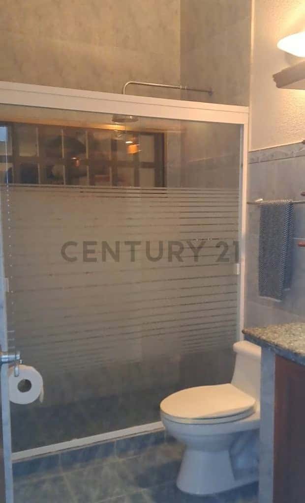 Vista 20