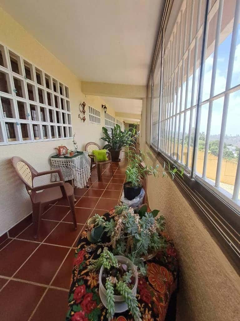 Vista 10