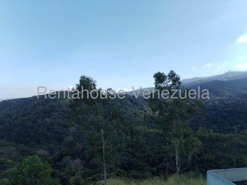 View 29