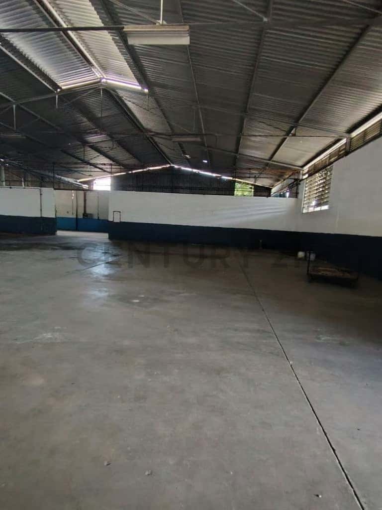 Vista 6