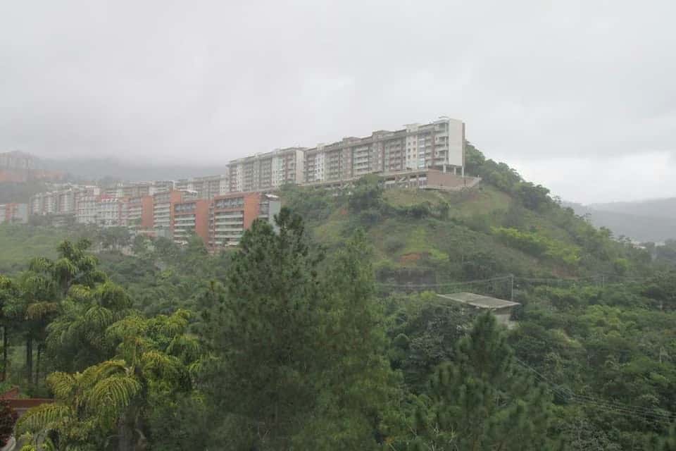 Vista 65