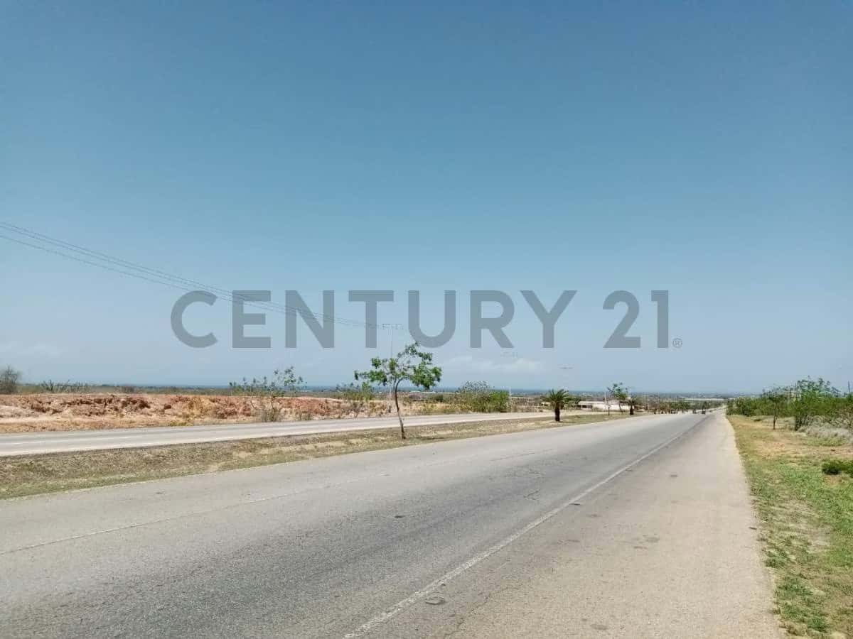 Vista 1