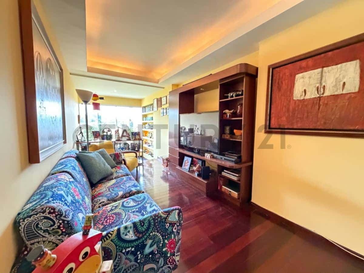 View 20