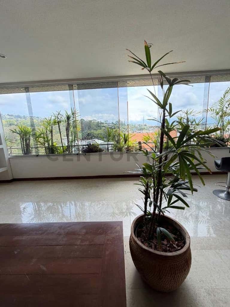 View 21