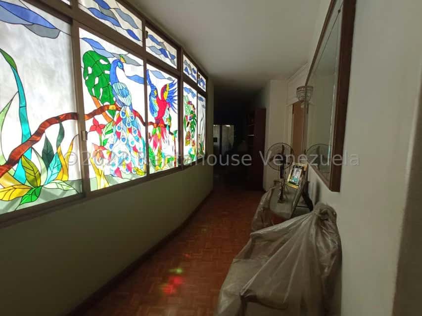 Vista 19