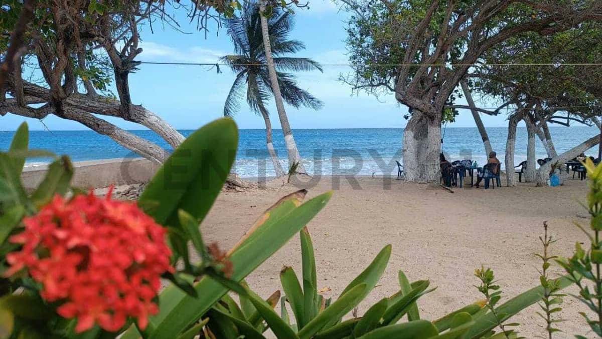 Vista 3