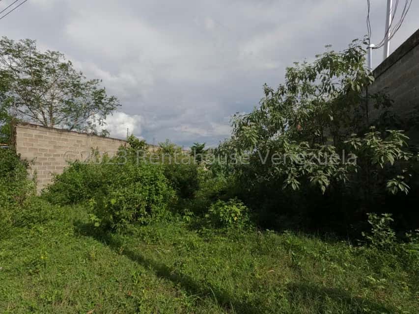 Vista 33