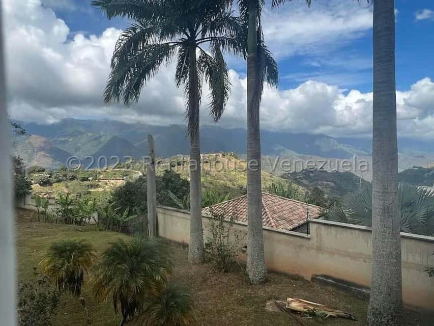 View 29