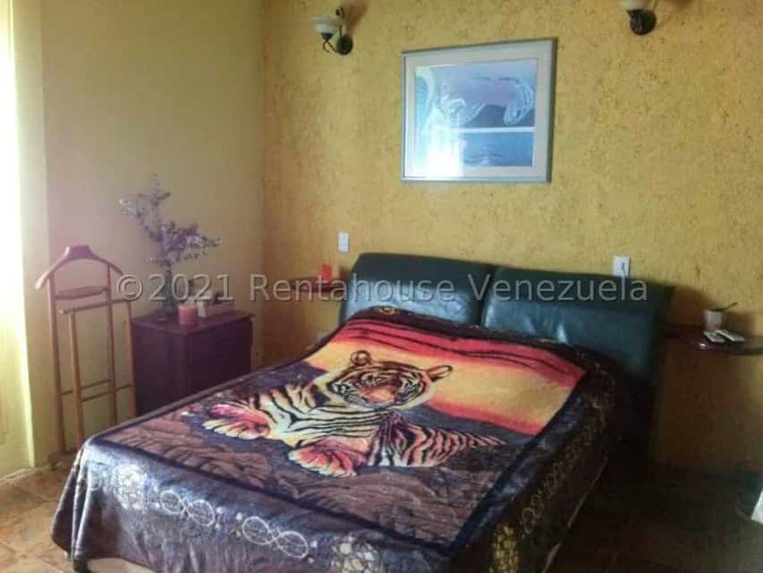Vista 5