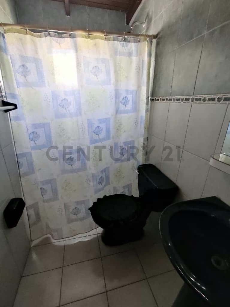 Vista 11