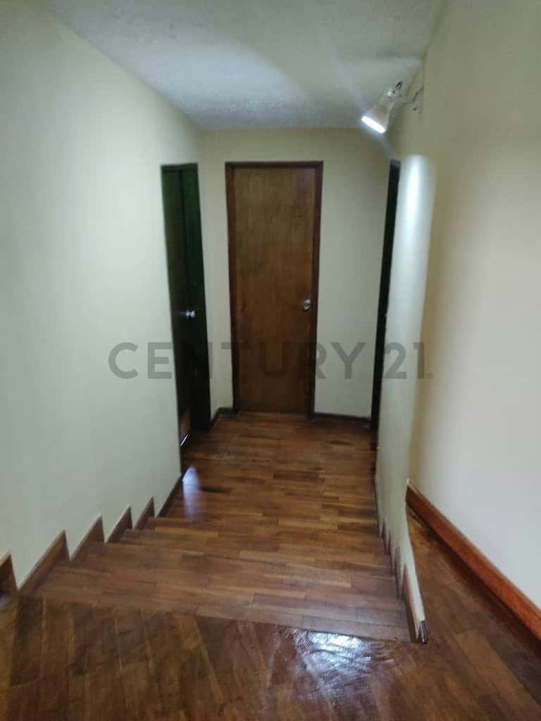 Vista 5