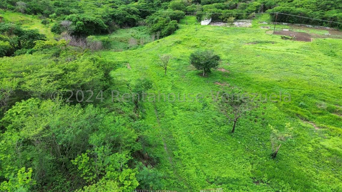 View 7