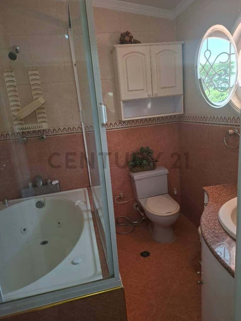 Vista 24