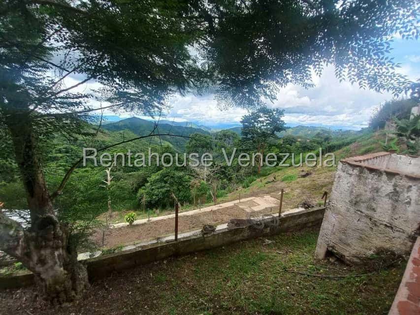 View 31