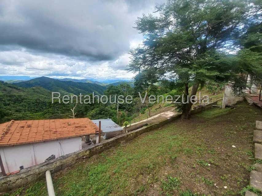 View 32