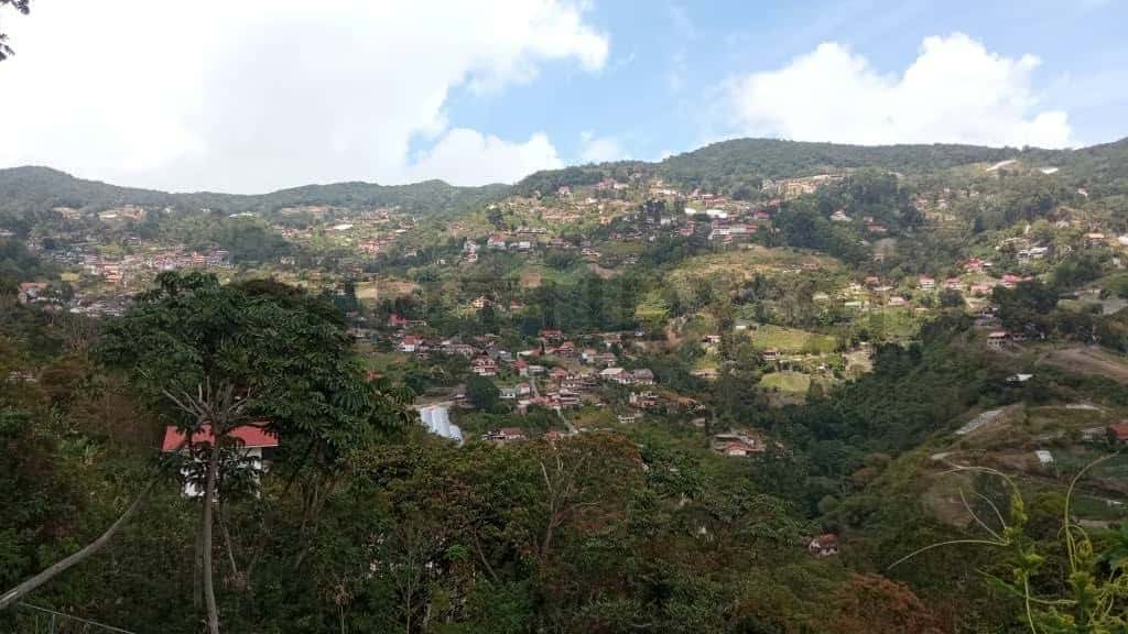 Vista 9