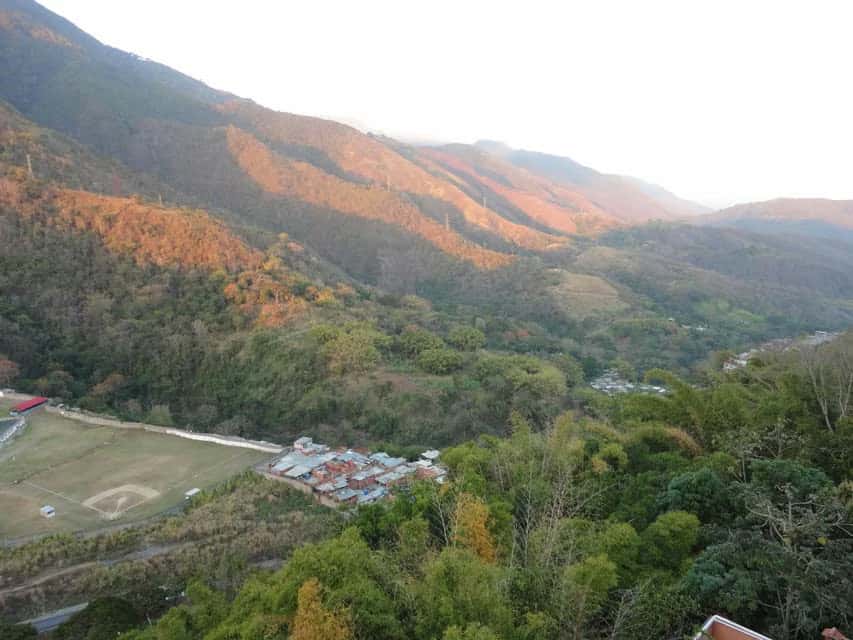 Vista 16