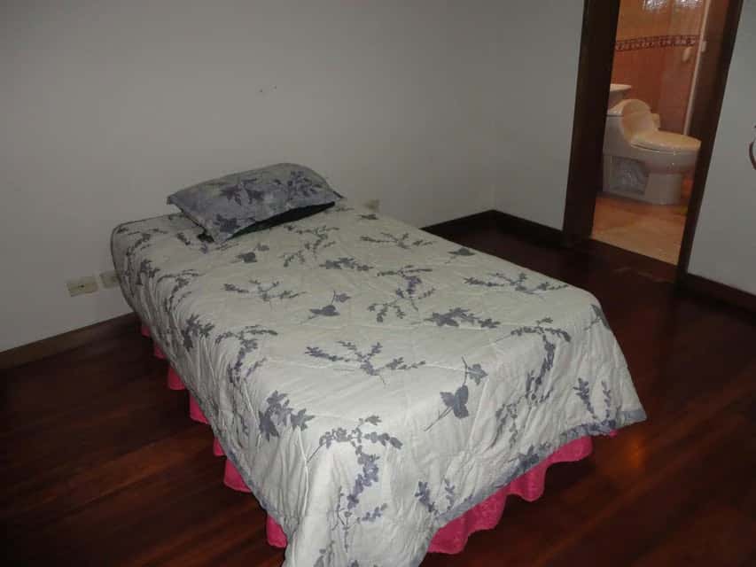 Vista 33