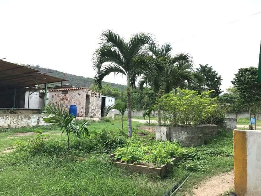 Vista 13