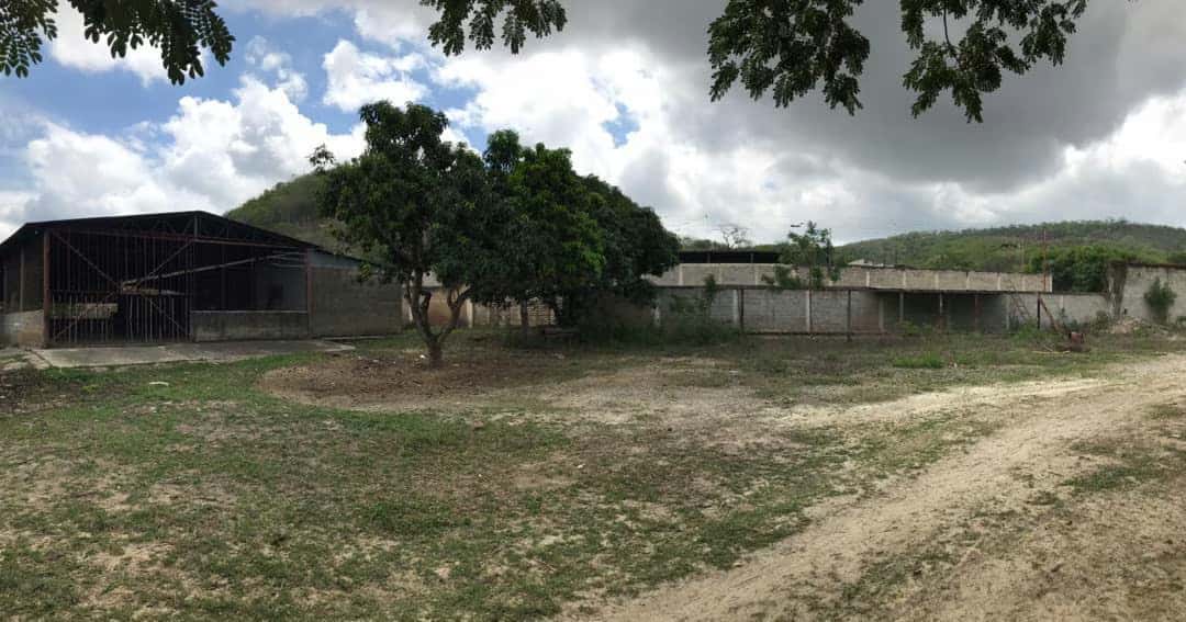 Vista 19