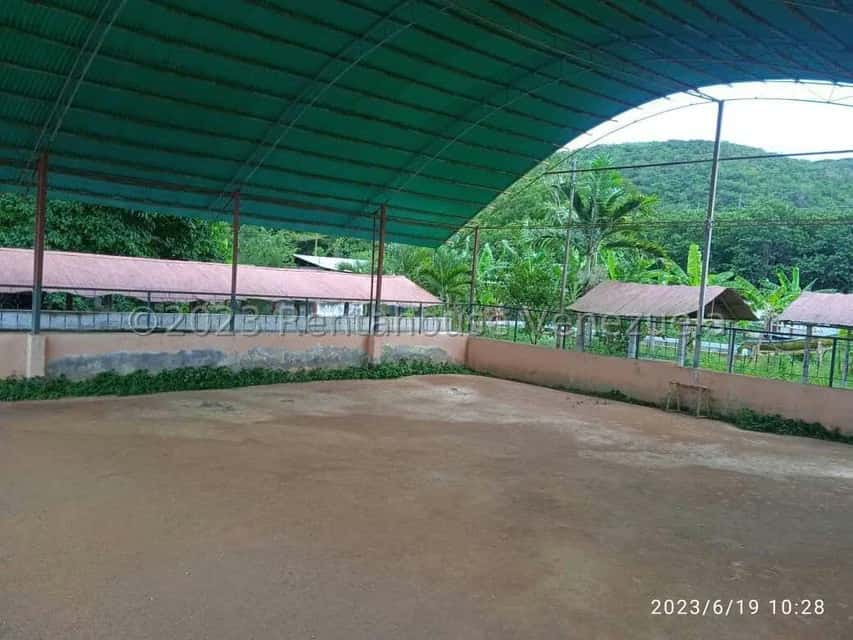 Vista 24