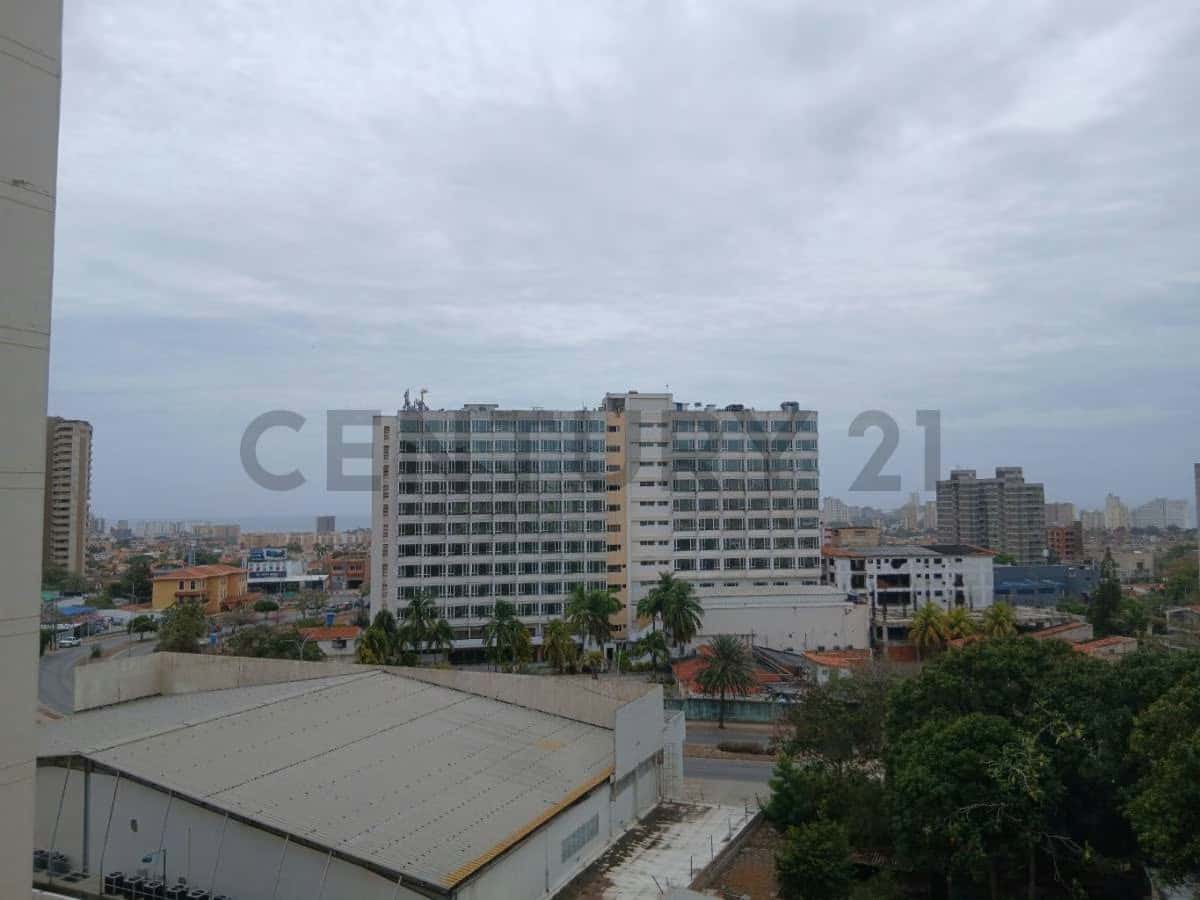 View 4