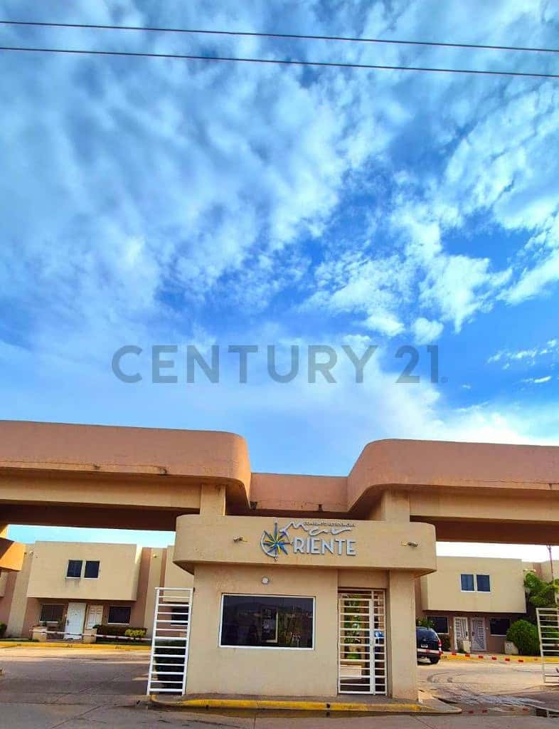 Vista 12