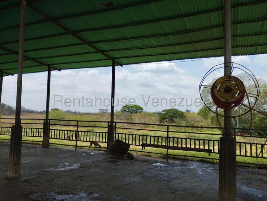 View 23