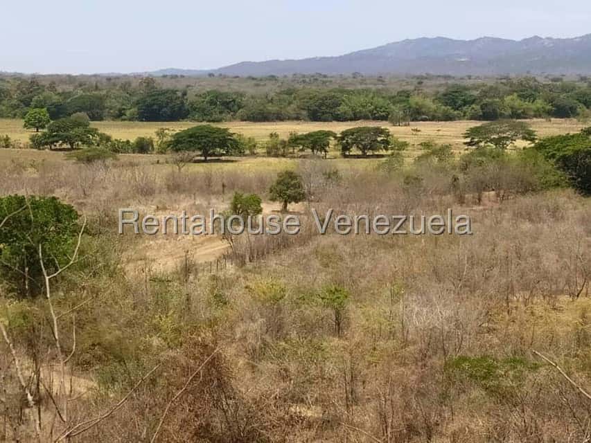 View 36