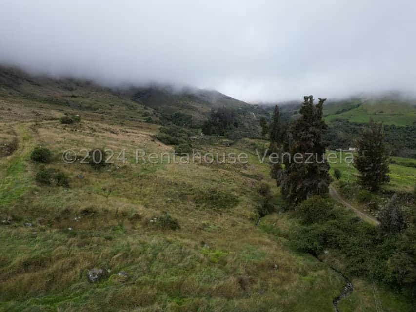 View 11