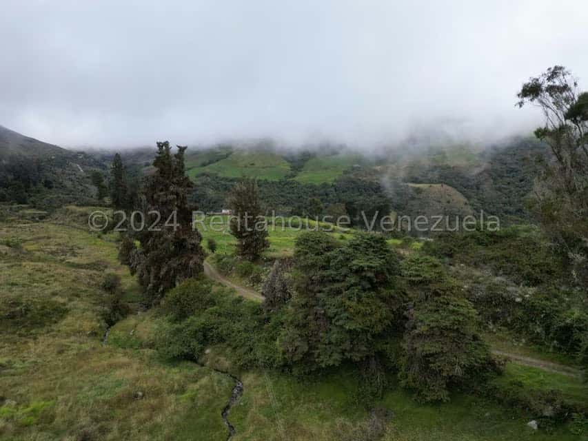 View 12