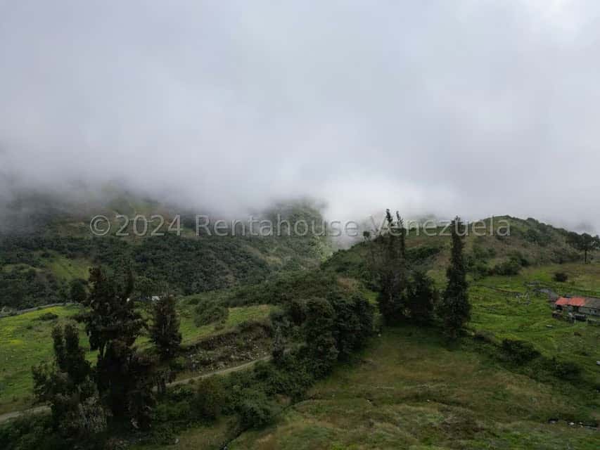 View 3