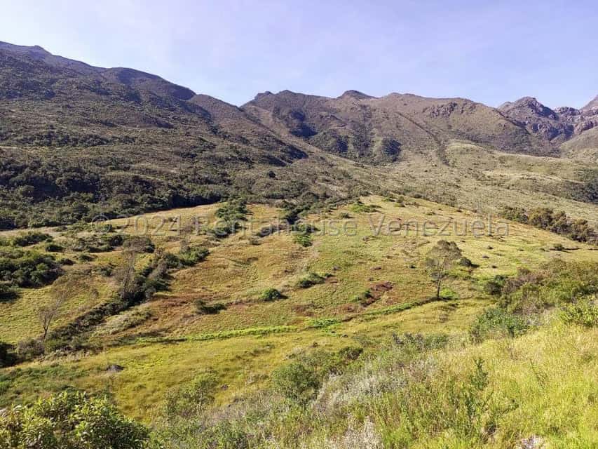 View 24