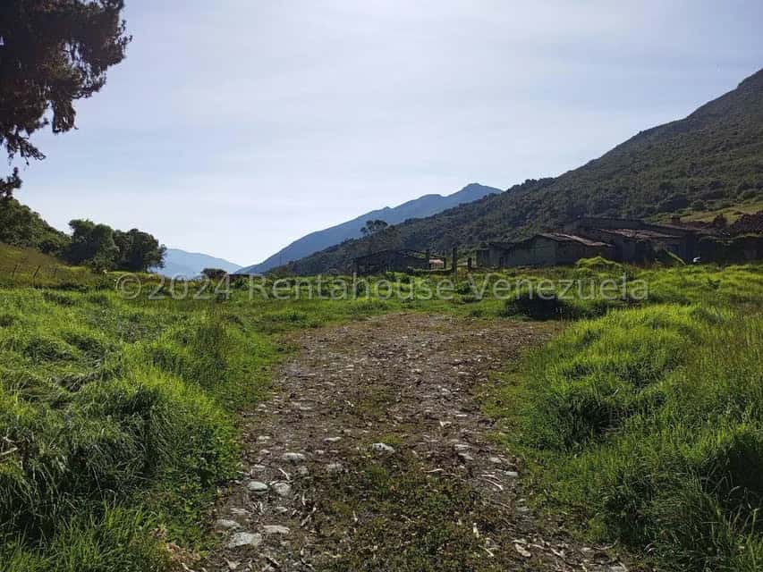 View 25