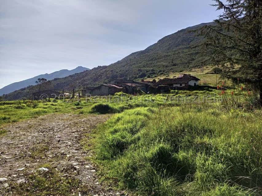 View 26
