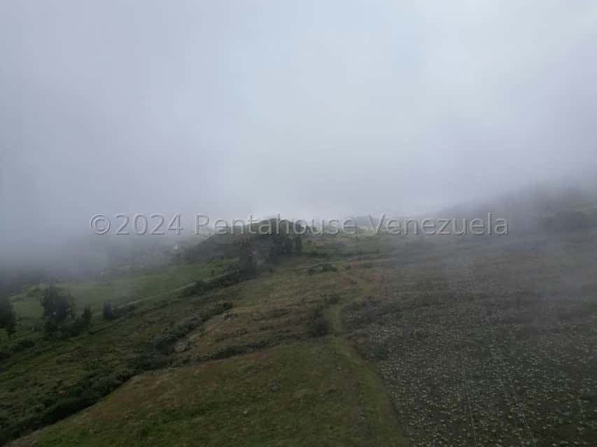 View 5