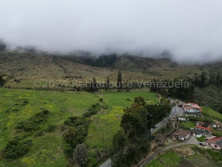 View 6