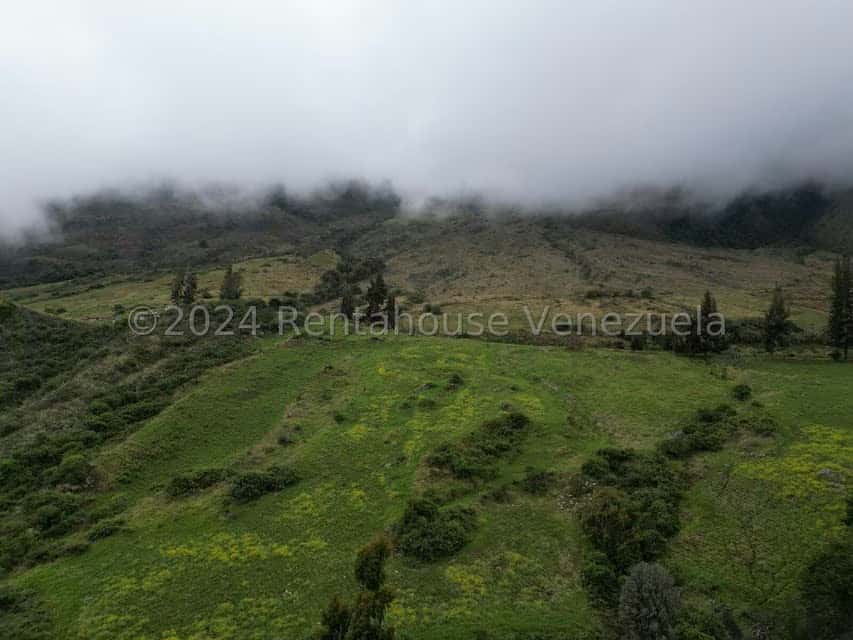 View 7