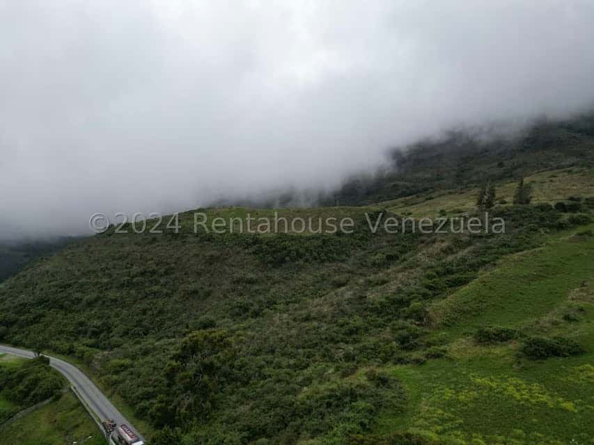 View 8