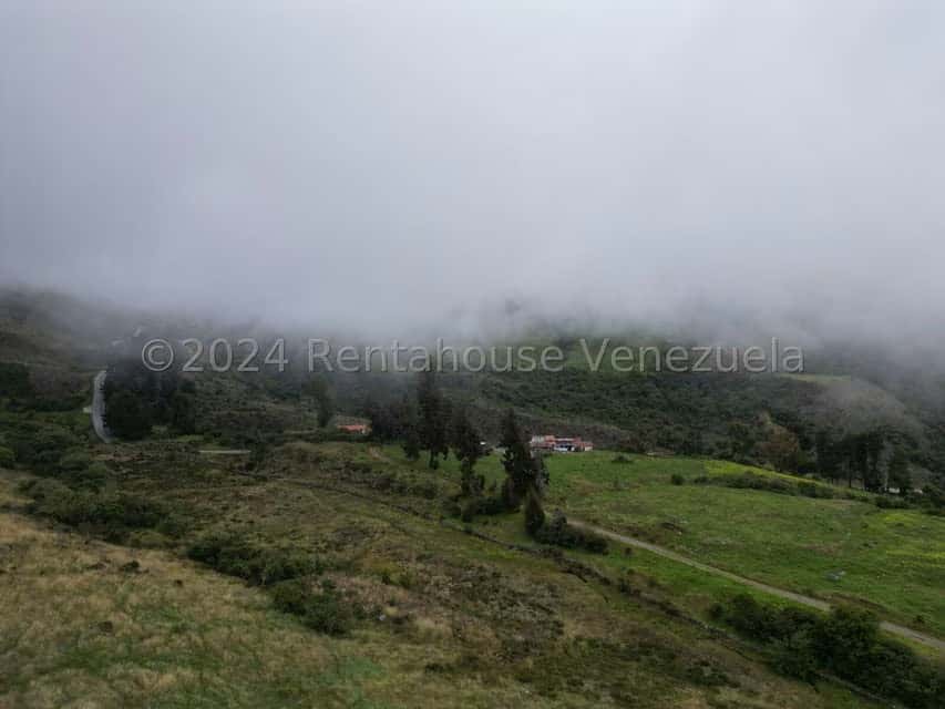 View 10