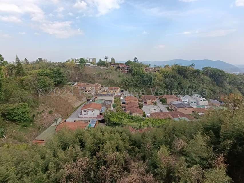View 13
